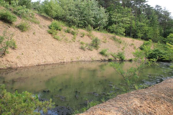 Pond Erosion Repair in Elkhart