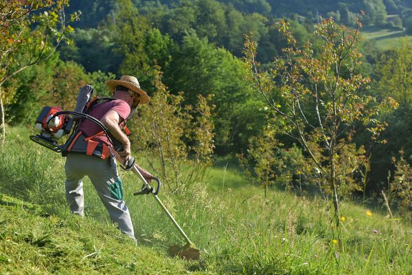 Slope Trimming in Elkhart